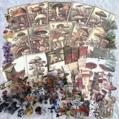 栗★SALE中まとめ売り様 リクエスト 2点 まとめ商品