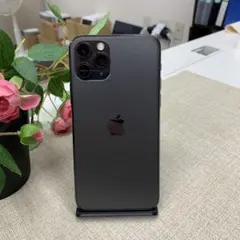 iPhone 11Pro 512GB