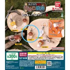 なめこ栽培キット めじるしアクセサリー2 なめこ