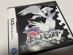 Nintendo DS ポケットモンスター　ブラック
