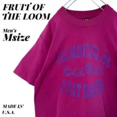 古着 ヴィンテージ 90s フルーツオブザルーム ビッグプリント Tシャツ