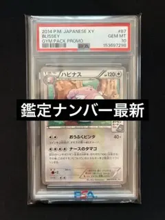 2026年最新】087/XY-P ハピナスの人気アイテム - メルカリ