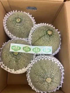 メロン農家直送 訳あり 8玉入り 8キロ 糖度は十分あります - メルカリ