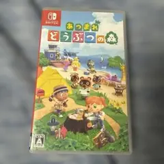 あつまれ どうぶつの森 Nintendo Switch