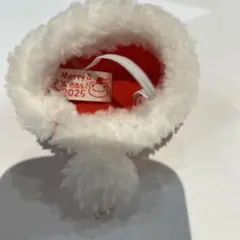 2025年 サンタ帽子 小型