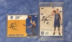 Item thumbnail for item 4016883e-f50d-4eaf-a0d9-d0e10ea6d2e3