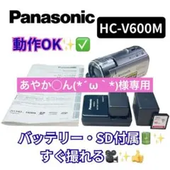 2026年最新】HC_V600Mの人気アイテム - メルカリ