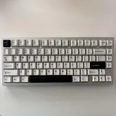 RAINY75 & PRO X SUPERLIGHT 2 ホワイト - メルカリ