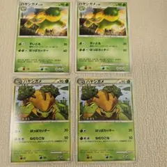 ポケモンカード　ハヤシガメのサムネイル