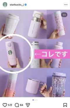 スターバックス ステンレスボトル SAKURA2025 パープル　381ml 桜