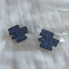 2 セット 海外 adidas アルゼンチン ピンバッジ
