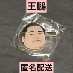日本相撲協会　大相撲ガチャ　王鵬　フェイスヘアピン　ヘアクリップ