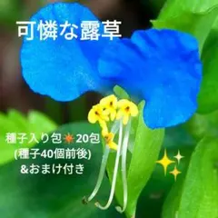 イーサン様 リクエスト 4点 まとめ商品