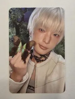 &TEAM HARUA ハルア トレカ ソロジャケ ROAR ver.