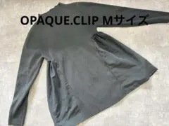 Item thumbnail for item 13145dc4-764e-4914-998c-4582eef15b4b