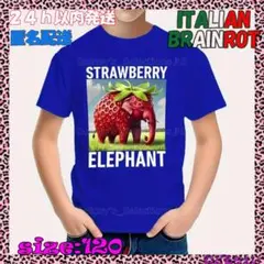 新品✩イタリアンブレインロット✩Tシャツ✩青✩120✩年末年始特別価格✩
