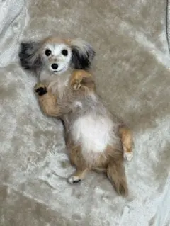 羊毛フェルトオーダー　全身タイプ