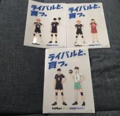 ハイキュー　クリアファイル　早稲田アカデミー 3枚セット