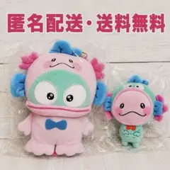 うぱごろう ハンギョドン パスケース 2種類セット - メルカリ