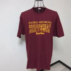 JERZEES ビンテージ Michigan CHIPPEWAS tシャツ XLのサムネイル