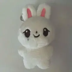 ジョンハン　ぬいぐるみ　ドール　セブチ　seventeen SEVENTEEN セブチ ジョンハン ぬいぐるみ ドール 10cm マスター