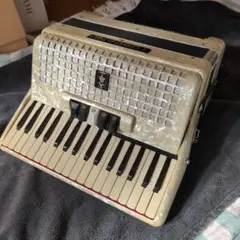 2026年最新】toscano アコーディオンの人気アイテム - メルカリ