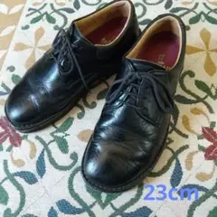 Item thumbnail for item a81c28b1-6441-4537-9c6d-da58e6bcb69d