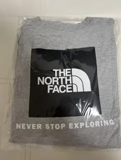 THE NORTH FACE 長袖Tシャツ グレー