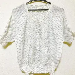 美品✨アロー 半袖 シフォン シャツ ブラウス ドット柄 水玉柄　シアーシャツのサムネイル