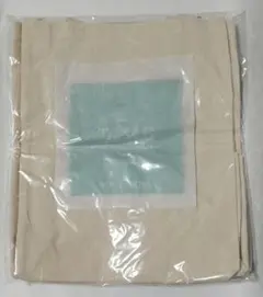 Item thumbnail for item 11b5ff09-a2bf-4df3-89bc-885a3d58de95