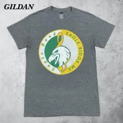 GILDAN Tシャツ S グレー イーグル ドライブレンド アメカジ 古着