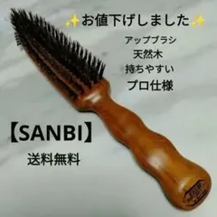 NBAA 新井唯夫 アップ専用ブラシ 2本セット美容師専用 セットブラシ