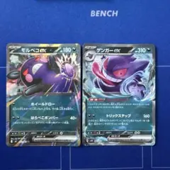 ポケモンカード モルペコex ゲンガーex 2枚セット