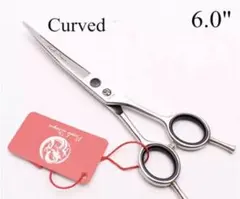 Item thumbnail for item ae106edf-5499-453b-9c8b-05c8b64a25f4