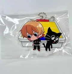 キヨ 東キヨドーム キヨ猫 in TOKYO DOME アクリルキーホルダー - メルカリ