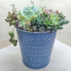 Chi-3ʕ•ᴥ•ʔ様 リクエスト 2点 まとめ商品