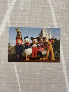 Disney World＊ディズニーワールド　ポストカード　ステッカー　6セット