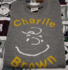 SNOOPY peanutsチャーリー・ブラウン ニットセーター 長袖 グレー