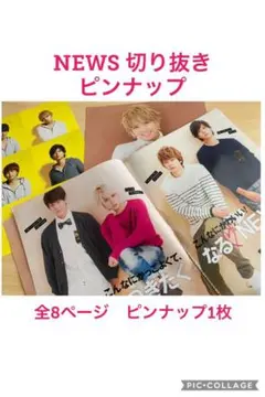 NEWS 雑誌 切り抜き ピンナップ