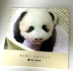 2026年最新】シャンシャンの人気アイテム - メルカリ