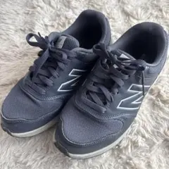 Item thumbnail for item 80ea6cfc-3503-4856-8910-24a78d3b2113