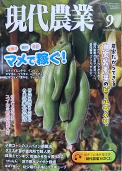 くろだい太郎様 リクエスト 2点 まとめ商品