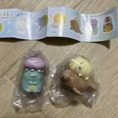 すみっコぐらしと京都水族館のいきものたち