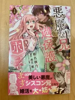 悪魔な兄が過保護で困ってます1