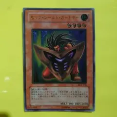 ビッグシールドガードナー