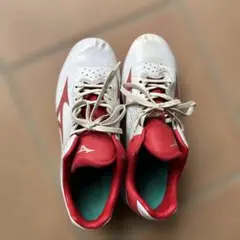 野球スパイク　ミズノ　24.5センチ