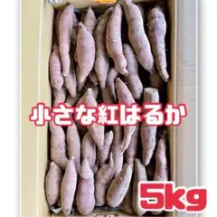 鹿児島県産さつまいも《小さめ紅はるか》５キロ