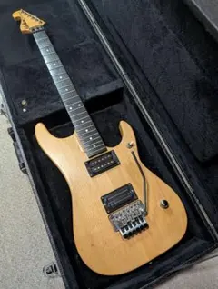 2026年最新】bill lawrence l-500の人気アイテム - メルカリ