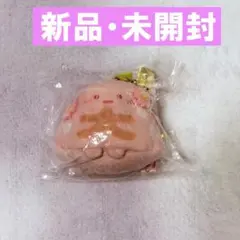 すみっコぐらし　すみっコぐらし堂限定　やま