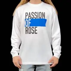 【公式/レア物】⭐︎未開封⭐︎THE BLUE HEARTS ロングスリーブTシャツ 2025年最新】ブルーハーツ ロンTの人気アイテム - メルカリ